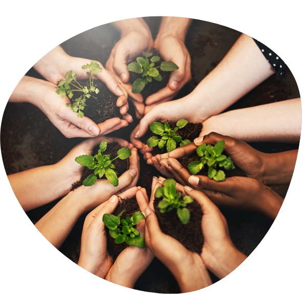 Partnerships and Strategic Advising