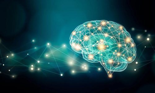 Partnerships and Strategic Advising